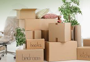 Digital Packers and Movers